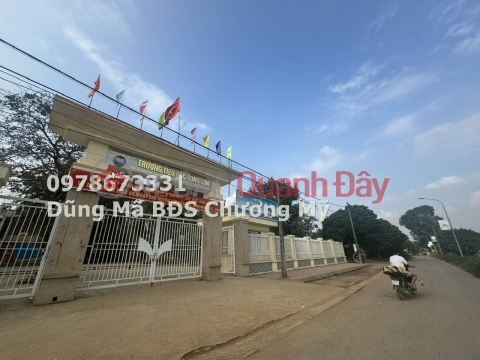 PRICE ONLY 1TY4 TO OWN BEAUTIFUL LOT OF LAND IN DONG SON-CHUONG MY _0