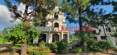 Land for sale by owner of DUPLICATE VILLA The Phoenix Garden Dan Phuong Hanoi _0