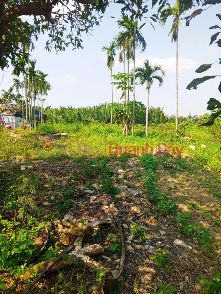 Owner in urgent need of money is selling a plot of land on the main road DX 017, with 1000 m² of residential land, Cam Thanh, for 18 billion VND. Sales Listings
