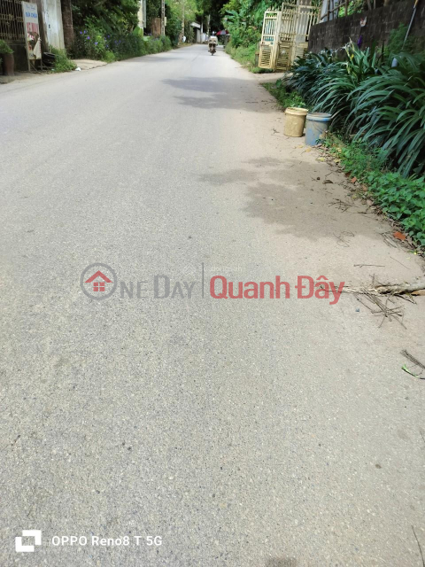 Selling a plot of land of 9178m2 to build a factory\/resort in Hoa Thach, Quoc Oai, about 1km from road 21A. _0