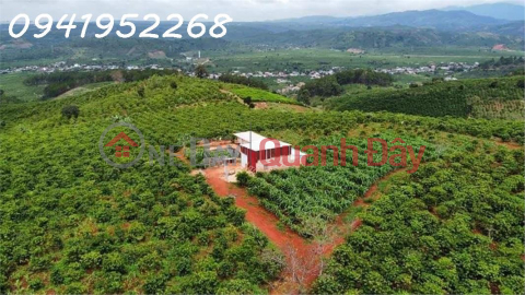 The owner needs to sell a rare land lot with nice view in Da Don, Lam Ha, Lam Dong communes, suitable for a resort _0