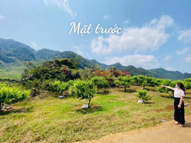 The owner sells land with a total area of 5300m2 in Ban Thong Cuong, Moc Chau, Son La Sales Listings