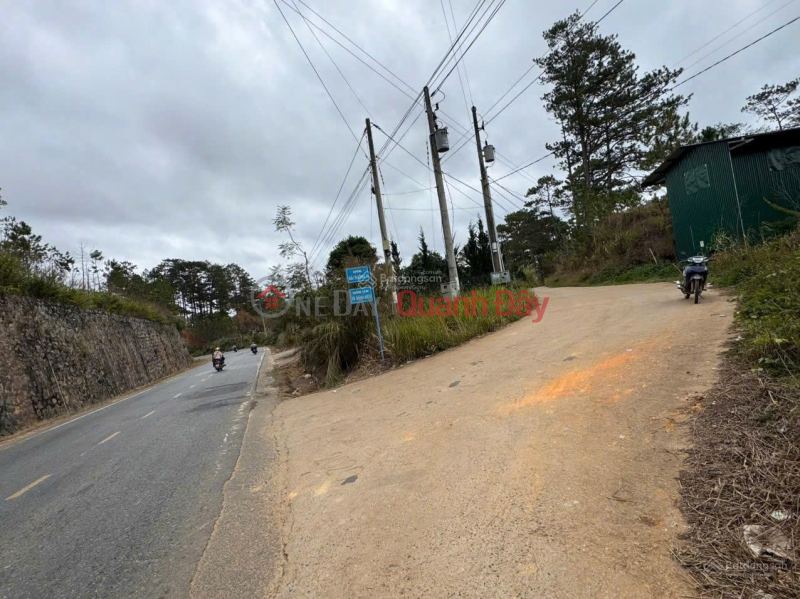 Bán đất tại xã Đạ Sar, Lạc Dương, Lâm Đồng, 400 triệu/1000m2 đẹp, nhiều tiện ích | Việt Nam | Bán | đ 32 tỷ