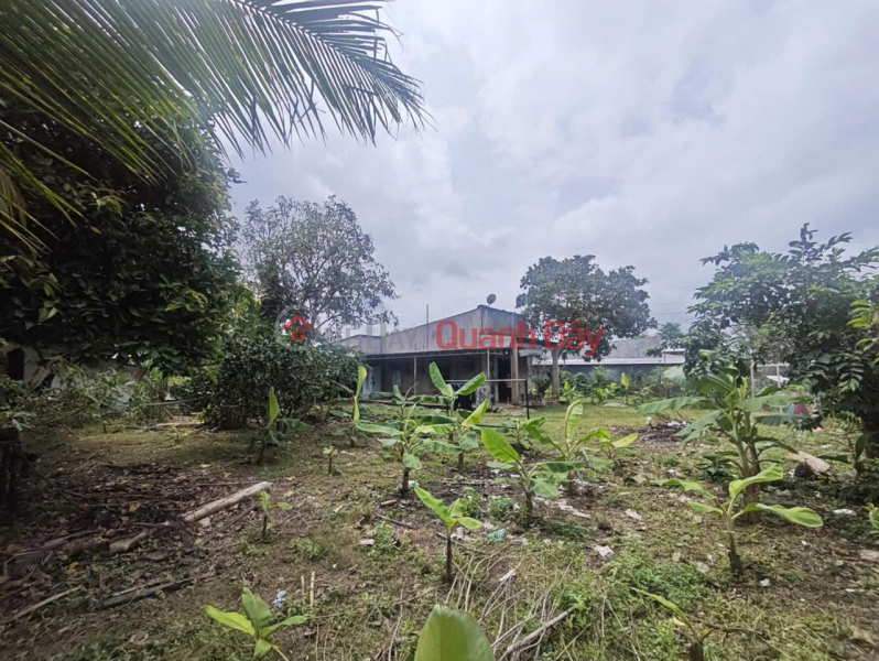 | Làm ơn chọn, Nhà ở, Niêm yết bán đ 6,15 tỷ