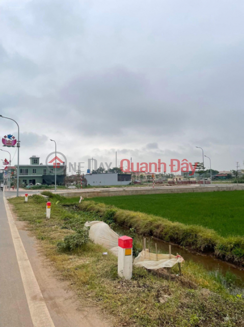 LAND FOR SALE ON THE MAIN ROAD OF QUYNH MY COMMUNE (NOW PART OF QUYNH PHU DISTRICT) - PRIME LOCATION FOR BUSINESS _0