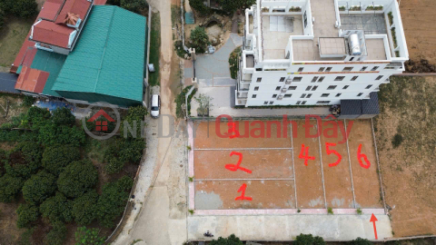 Bán 100m đất thôn Thái Lai, Minh Trí, Sóc Sơn. Full thổ cư, ô tô đỗ _0