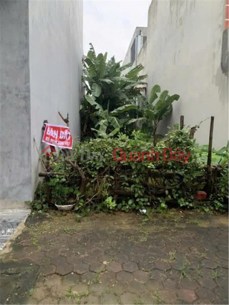 Property Search Vietnam | OneDay | Residential, Sales Listings OWNER NEEDS TO QUICKLY SELL A BEAUTIFUL LOT OF LAND In the South of Quarter 5, Ba Dinh Ward, Bim Son, Thanh Hoa