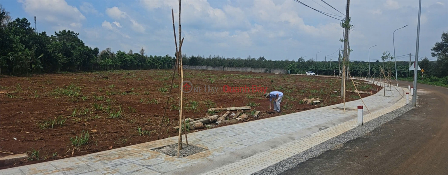 Property Search Vietnam | OneDay | Residential Sales Listings LAND IS UNSOLD - NEED TO QUICKLY SELL LAND LOT IN Lang Lon Commune, Chau Duc District, Ba Ria - Vung Tau