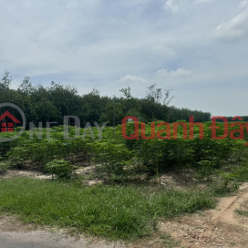 FOR OWNERS Quick SELL Lot of land, good location - good price in Lai Uyen - Bau Bang - Binh Duong _0