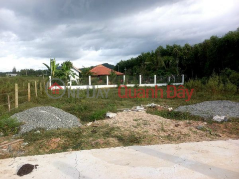 The owner sells 2 beautiful plots of land near the river bank, with spacious concrete road frontage at Song Cau - Khanh Vinh!!! _0