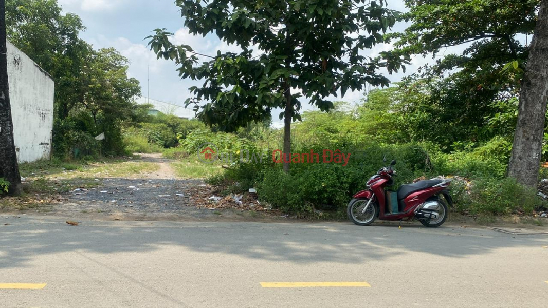 Owner Rents Out Business Land Lot in Truong Thanh Ward, Thu Duc City, Ho Chi Minh City | Vietnam, Rental | đ 35 Million/ month