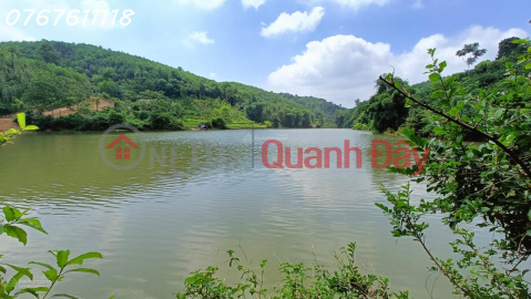 Garden house land for sale in Tuan Lo Tan Lac, view of irrigation lake, near Man Duc town, 1.1ha, surplus of 3 billion _0