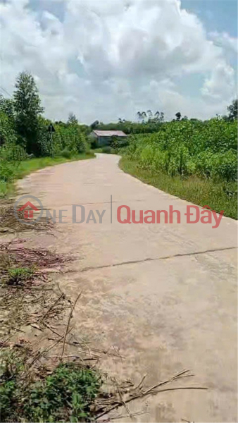 đ 900 triệu ĐẤT ĐẸP- GIÁ TỐT BÁN NHANH LÔ ĐẤT ĐẦU TƯ LÀ SINH LỜI TẠI huyện Yên Thế tỉnh Bắc Giang