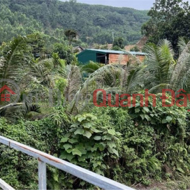 OWNER Sells Land for Fruit Garden in Dai La village - Dai La 6, Hoa Son, Hoa Vang, Da Nang _0