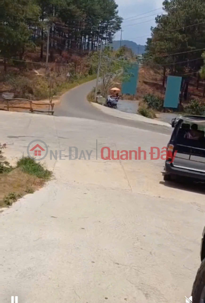 BEAUTIFUL LAND - GOOD PRICE - Urgent sale of LAND FOR PLANTING PERENNIAL PLANTS IN TA NUNG, DA LAT CITY Sales Listings