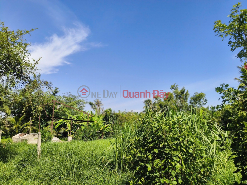 đ 1 Billion, PRIME LAND, INVESTMENT OPPORTUNITY – OWNER SELLING A PLOT OF LAND IN PHUOC HIEP COMMUNE, CU CHI DISTRICT, HO CHI MINH CITY