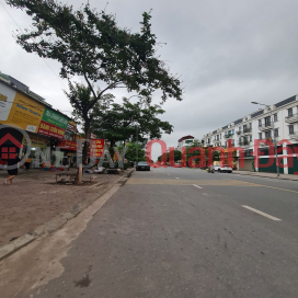 Bán đất Trâu Quỳ – Gia Lâm – Hà Nội 121m2 mặt đường 12m. Lh 0989894845 _0