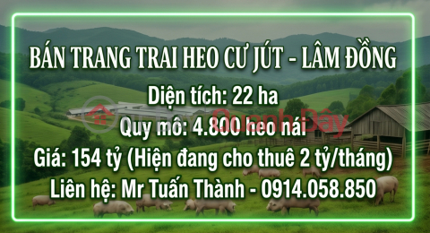 22-hectare Mega Pig Farm - Rental Income of 24 Billion VND\/Year _0