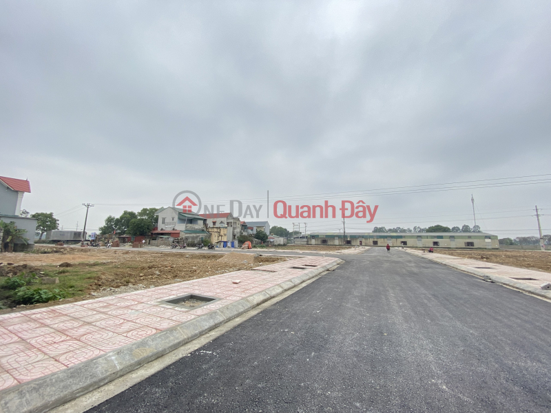 Property Search Vietnam | OneDay | Residential, Sales Listings, Can Tien Build a House for Urgent Sale Land Lot in Tan Phong Town - Quang Xuong - Thanh Hoa with price only 7.xxtr\\/m2