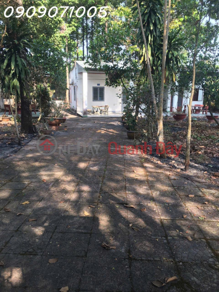 For sale: 1690m2 vacation home with a ready-built, fully equipped single-story house in Tan Trieu Ward, Bien Hoa City. Vietnam Sales đ 4 Billion