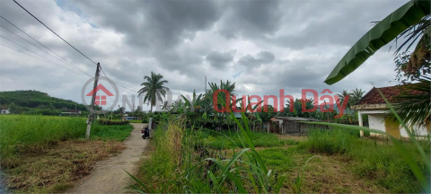 Beautiful Land - Good Price - Owner Needs to Sell Beautiful Residential Land Lot in Son Giang, Song Hinh, Phu Yen. _0