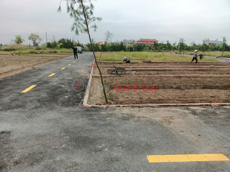 BEAUTIFUL LAND FOR SALE - GOOD PRICE - GOOD LOCATION near the new VSIP industrial park about to start construction Sales Listings