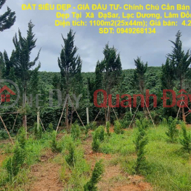 SUPER BEAUTIFUL LAND - INVESTMENT PRICE - Owner Needs to Sell a Lot of Land in a Beautiful Location in DaSar Commune, Lac Duong, Lam Dong _0