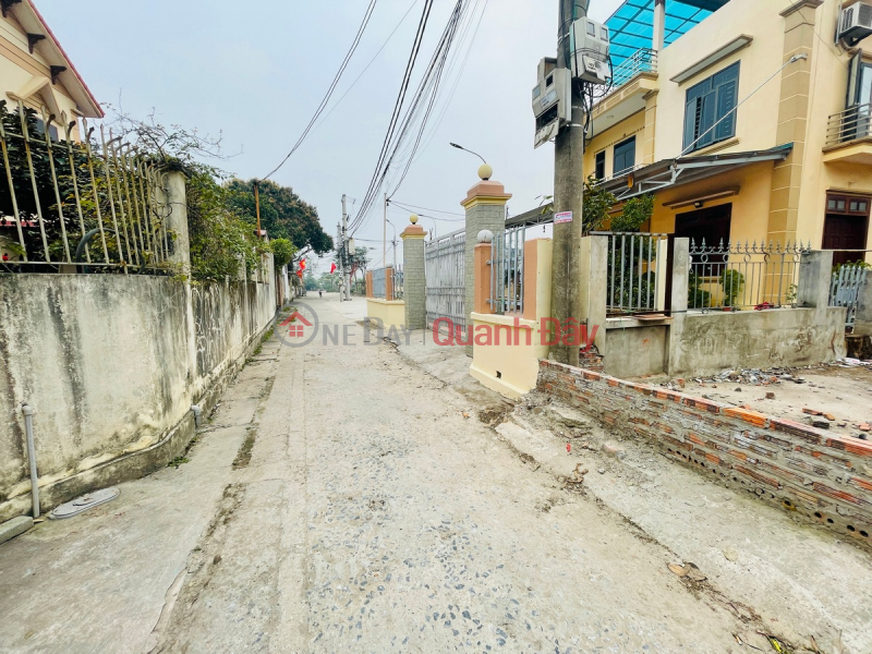Right next to the auction wall X1, X6 Nguyen Khe, cheaper than 20 prices, land plot 86m, car road to the house, 200m out to Highway 3 | Vietnam Sales, đ 4.7 Billion