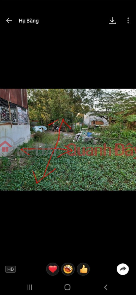 OWNER Need to Sell Quickly Beautiful Land Lot Location In Dong Nai Province, Vietnam, Rental | đ 1 Billion/ month