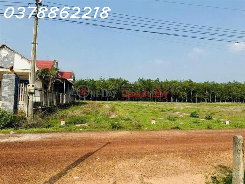 Bán gấp lô đất đường Lò Rèn, xã Long Hòa, Dầu Tiếng, 9200m2, giá 4,2tr/m2 Niêm yết bán