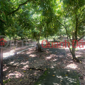 OWNER Needs to Sell Land Lot Quickly in Tan Thuan Dong Commune, Cao Lanh City, Dong Thap _0