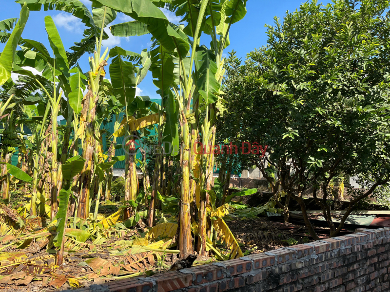 BÁN ĐẤT 3 thoáng MẶT PHỐ, PHÚ VIÊN, BỒ ĐỀ ,LONG BIÊN 110m², MẶT TIỀN 7m – GIÁ 21 TỶ Niêm yết bán