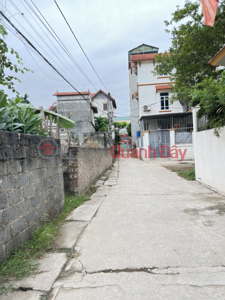 Property Search Vietnam | OneDay | Residential | Sales Listings, selling 39.2m of land in Phuong Dong, Phung Chau, Chuong My, Hanoi