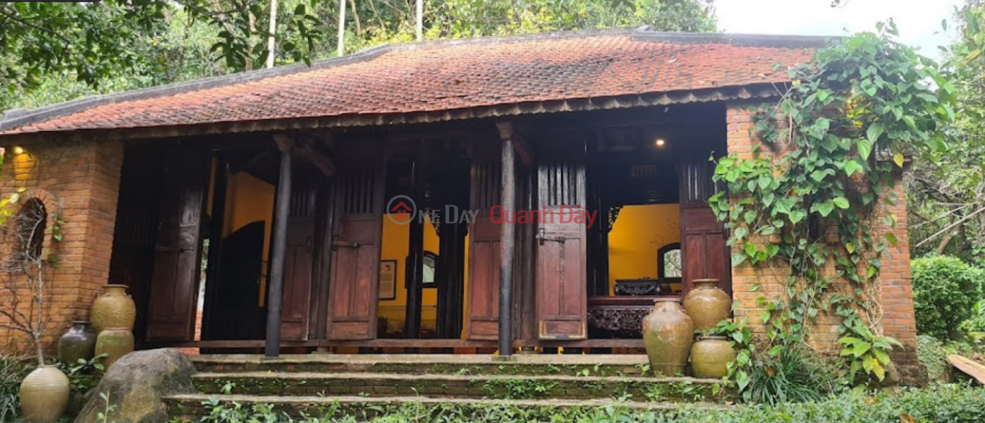 Bảo tàng Đồng Đình (Dong Dinh Museum) Sơn Trà | ()(4)