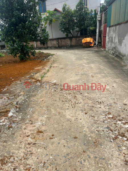 Owner Sells 5 F0 Land Plots on the Old Lien Xa Hoa Thach Street, Now Phu Cat - Hanoi City, Vietnam | Sales, đ 2.2 Billion