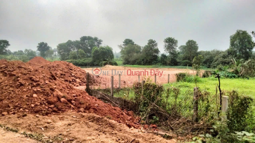 HOT HOT HOT - NEED TO SELL LAND LOT IN Ngoc Son Commune, Thach Ha District, Ha Tinh | Vietnam, Sales, đ 1.95 Billion
