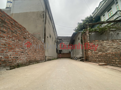 Xuan Non land for sale - Luong Quy village - 90m - 4m open road _0