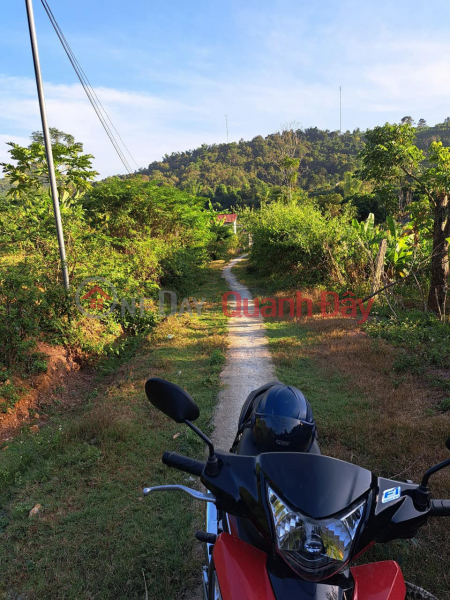 Property Search Vietnam | OneDay | Residential | Sales Listings Owner needs to sell quickly Lot 2 Land in Pot Noi - Chieng Coi - Son La.