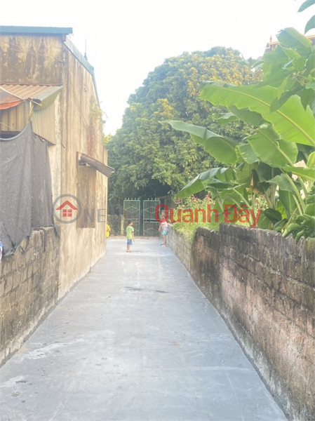 Property Search Vietnam | OneDay | Nhà ở Niêm yết bán | bán đất 43,6m phụng châu đường ô tô tại thôn phượng nghĩa làm việc chính chủ