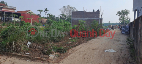 Cơ hội đầu tư đất vị trí đẹp tại Trung Châu A, Đan Phượng, Hà Nội - Sổ đỏ riêng, ô tô đỗ cửa _0