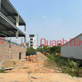 Villa land for sale in Co Duong Urban Area, Tien Duong, Dong Anh _0