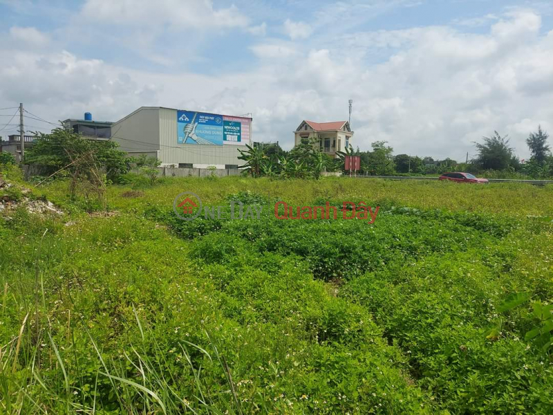 ONLY ABOVE 1 MILLION\\/M2 COMMERCIAL SERVICE LAND AREA 28228M2 TIEN HAI, THAI BINH. | Vietnam Sales đ 23.7 Billion