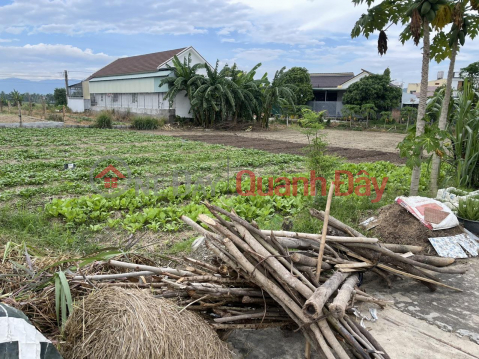 BEAUTIFUL LAND - OWNER NEEDS TO SELL LOT OF LAND IN Diên Sơn Commune, Diên Khánh District, Khánh Hòa _0