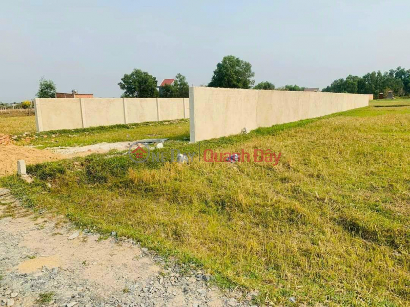 Property Search Vietnam | OneDay | Residential | Sales Listings | FAST SALE BEAUTIFUL LOT OF LAND - GOOD PRICE Location In Hau Nghia Town, Duc Hoa, Long An