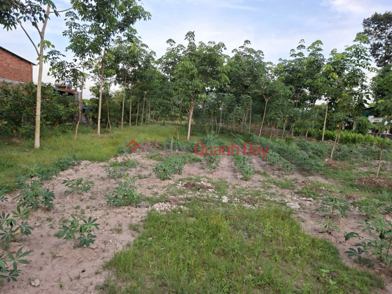 Property Search Vietnam | OneDay | Niêm yết bán Sang nhượng đất mặt tiền đường Phạm Thị Quới, Xã Phú Mỹ Hưng, Huyện Củ Chi, TP.HCM