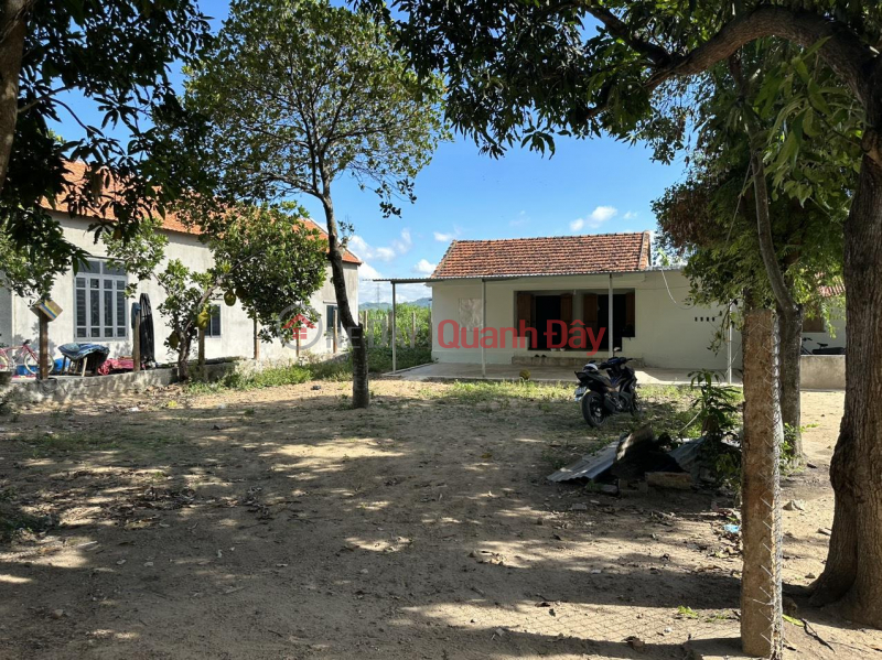 đ 620 Million BEAUTIFUL LAND - GOOD PRICE – GENERAL Sold Fast Land Lot In Son Ha commune, Son Hoa district, Phu Yen province