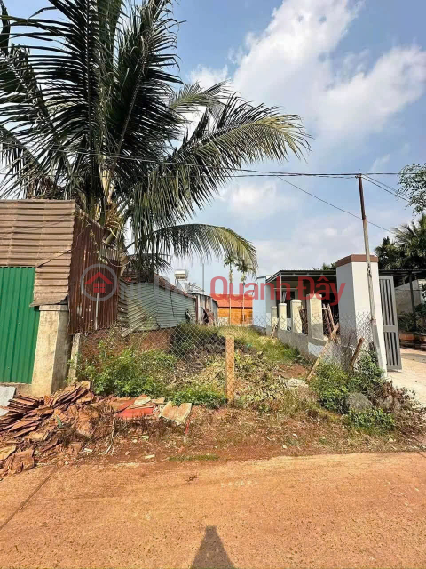Hàng hiếm Cư Suê - Buôn Ma Thuột: 180m2 thổ cư, sổ sẵn, view lúa, giá chỉ 725 triệu đồng _0