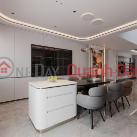 **House for sale in Ward 2, Tan Binh District; Pho Quang street frontage, (4x17m) 4 floors - VIP area** _0