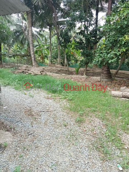 PRIME LAND FOR OWNER - GOOD PRICE - For Quick Sale Land Lot In Phu My Commune, Mo Cay Bac, Ben Tre, Vietnam | Sales | ₫ 750 Million