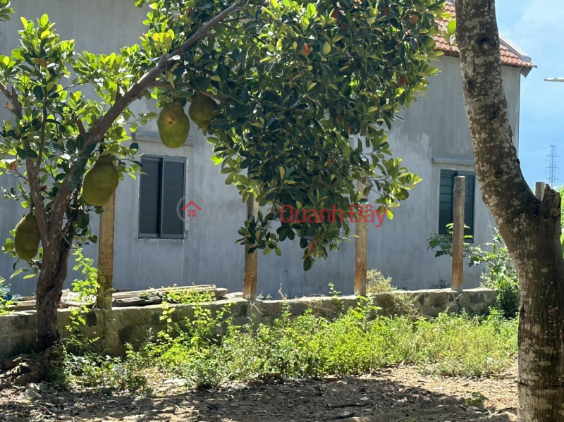 Property Search Vietnam | OneDay | Residential, Sales Listings, BEAUTIFUL LAND - GOOD PRICE – GENERAL Sold Fast Land Lot In Son Ha commune, Son Hoa district, Phu Yen province